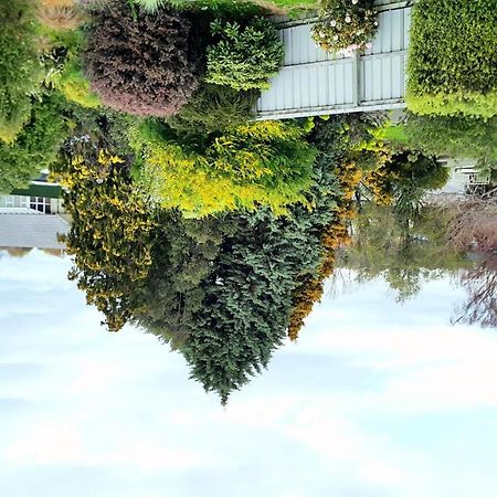 Lilybrook Motel Rangiora Esterno foto