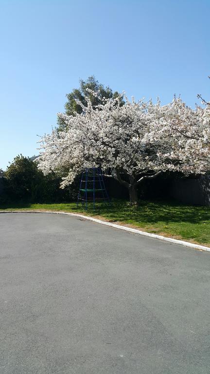 Lilybrook Motel Rangiora Esterno foto