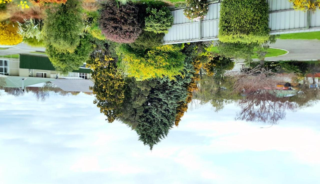 Lilybrook Motel Rangiora Esterno foto